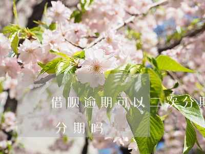 借呗逾期可以二次分期吗(借呗逾期可以二次分期吗)