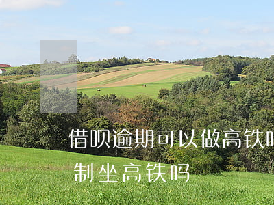 借呗逾期可以做高铁吗（支付宝借呗逾期会限制坐高铁吗）
