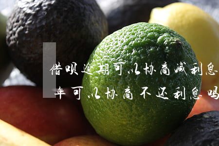 借呗逾期可以协商减利息吗(蚂蚁借呗逾期半年可以协商不还利息吗)