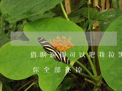 借呗逾期可以把我拉黑吗(借呗逾期多久会让你全部还掉)