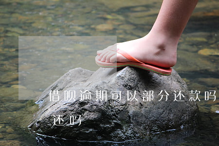 借呗逾期可以部分还款吗(借呗逾期需要全部还吗)