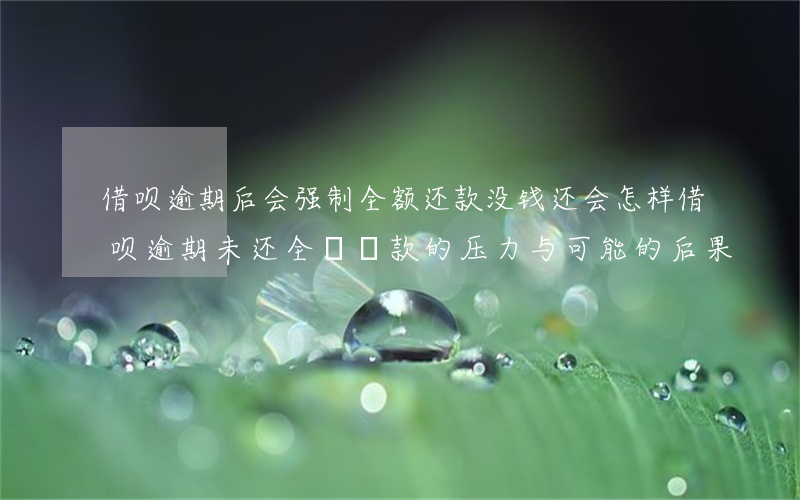 借呗逾期后会强制全额还款没钱还会怎样，借呗逾期未还：全額還款的压力与可能的后果