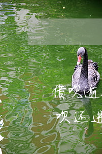 借呗逾期后其他网贷还能用吗(网贷逾期了借呗还进去还可以借出来吗?)
