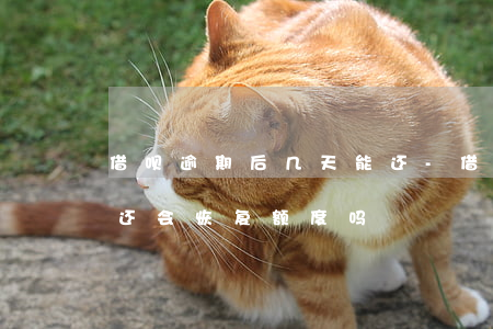 借呗逾期后几天能还-借呗逾期几天还上后还会恢复额度吗