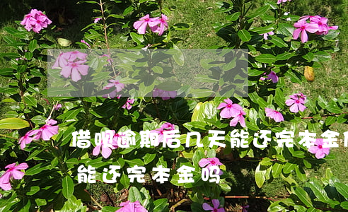 借呗逾期后几天能还完本金(借呗逾期后几天能还完本金吗)