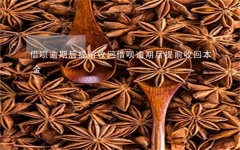 借呗逾期后提前收回 借呗逾期后提前收回本金