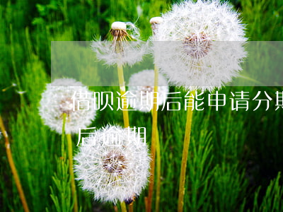 借呗逾期后能申请分期吗(借呗逾期后再分期后逾期)