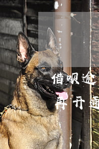 借呗逾期后还清还能开通吗(借呗逾期后还会再开通吗)