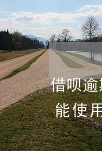 借呗逾期后还能用健康码吗(借呗逾期还了还能使用不)
