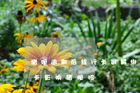 借呗逾期后银行卡可解绑吗(支付宝解绑银行卡影响借呗吗)