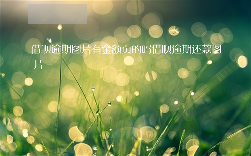 借呗逾期图片有金额页的吗(借呗逾期还款图片)