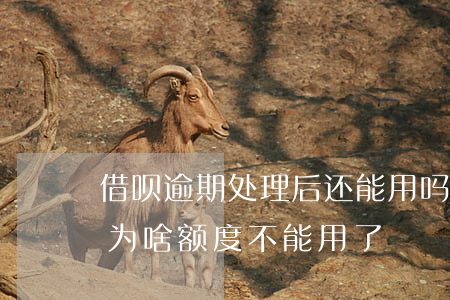 借呗逾期处理后还能用吗(借呗逾期后还完了,为啥额度不能用了)