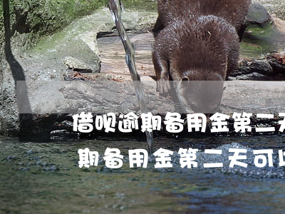 借呗逾期备用金第二天可以取出吗-借呗逾期备用金第二天可以取出吗安全吗