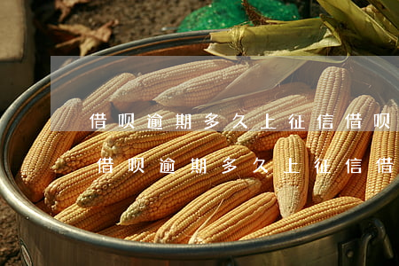 借呗逾期多久上征信借呗逾期几天上征信-借呗逾期多久上征信?借呗逾期几天上征信2020