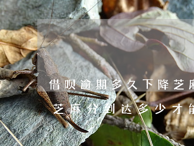 借呗逾期多久下降芝麻分(支付宝借呗逾期后芝麻分到达多少才能使用)