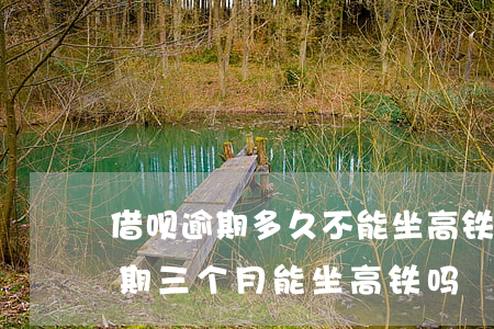借呗逾期多久不能坐高铁飞机（花呗和京东逾期三个月能坐高铁吗）