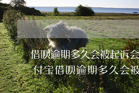 借呗逾期多久会被起诉会收到判决书一-支付宝借呗逾期多久会被起诉会收到判决书一