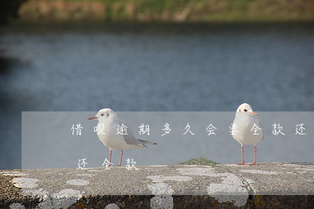 借呗逾期多久会要全款还（借呗逾期后几天能还全款）