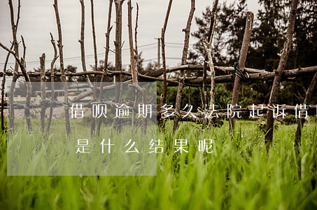 借呗逾期多久法院起诉(借呗逾期法院起诉会是什么结果呢?)