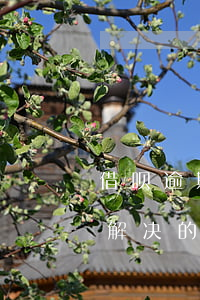 借呗逾期太久无还款入口(借呗逾期都是怎么解决的)