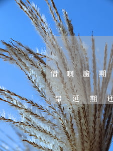 借呗逾期如何协商延期还款口径(借呗可以商量延期还款吗)