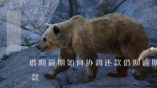 借呗逾期如何协调还款(借呗逾期如何协调还款)