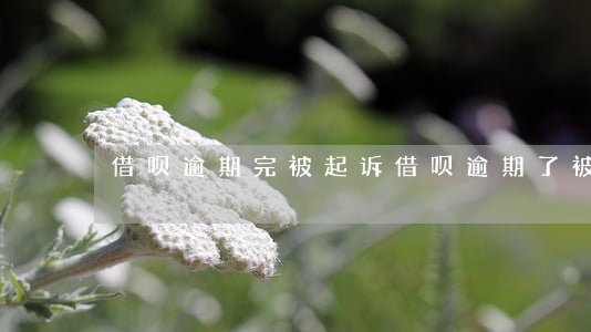 借呗逾期完被起诉(借呗逾期了被起诉了)