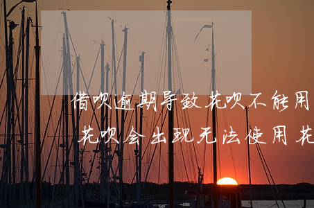 借呗逾期导致花呗不能用(花呗没逾期为什么花呗会出现无法使用花呗)