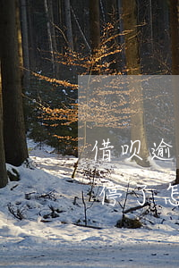 借呗逾期导致花呗被停用(为什么我的花呗被停了怎么回事也没有逾期)