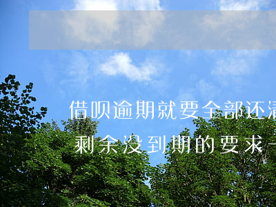 借呗逾期就要全部还清是吗(借呗逾期的还了剩余没到期的要求一次性还清)