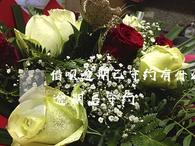 借呗逾期已守约有什么影响(借呗没逾期显示逾期后守约)