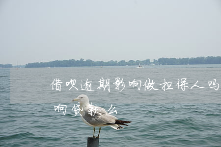 借呗逾期影响做担保人吗(帮人担保逾期会影响贷款么)
