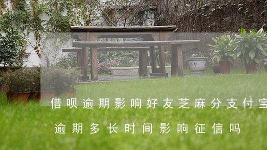 借呗逾期影响好友芝麻分(支付宝花呗和借呗逾期多长时间影响征信吗)
