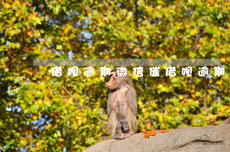 借呗逾期微信催 借呗逾期微信催款