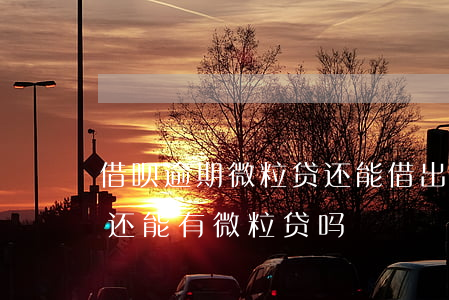 借呗逾期微粒贷还能借出来不（花呗逾期微信还能有微粒贷吗）
