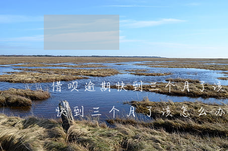 借呗逾期快到三个月了该怎么办-借呗逾期快到三个月了该怎么办呢