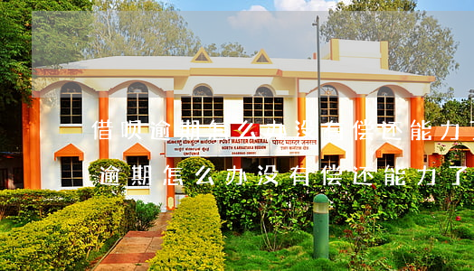 借呗逾期怎么办没有偿还能力了知乎-借呗逾期怎么办 没有偿还能力了