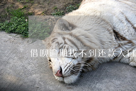 借呗逾期找不到还款入口(借呗没有还款入口)