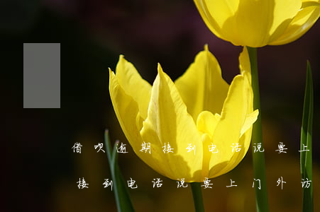 借呗逾期,接到电话说要上门外访-借呗逾期,接到电话说要上门外访是真的吗