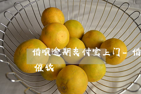 借呗逾期支付宝上门-借呗逾期支付宝上门催收