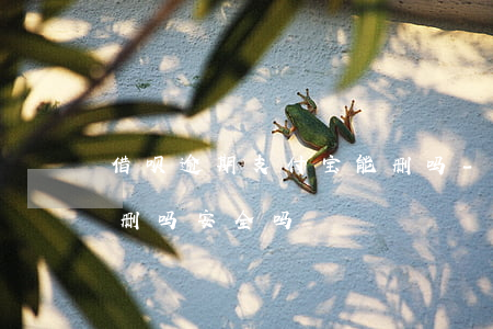 借呗逾期支付宝能删吗-借呗逾期支付宝能删吗安全吗
