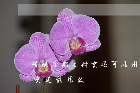 借呗逾期支付宝还可以用吗-借呗逾期支付宝还能用么