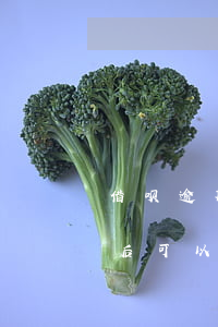 借呗逾期收到律师函-借呗逾期收到律师函后可以先还一部分吗