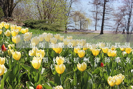 借呗逾期收到杭州互联网法院信息(借呗花呗逾期收到杭州律师事务所寄的信件)