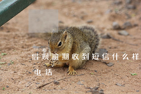借呗逾期收到短信什么样(借呗逾期几天会有电话)