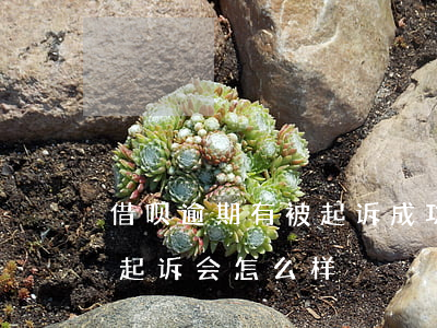 借呗逾期有被起诉成功的吗 借呗逾期被法院起诉会怎么样