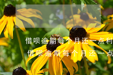 借呗逾期每个月还一点利息还会那么高吗-借呗逾期每个月还一点行不行