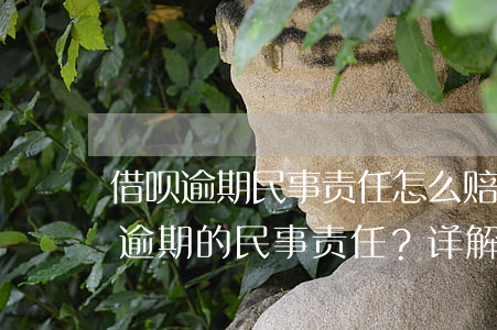 借呗逾期民事责任怎么赔偿的，如何承担借呗逾期的民事责任？详解赔偿方式与步骤