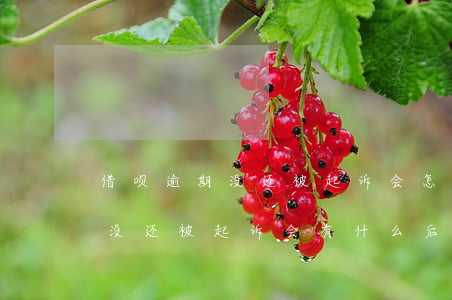 借呗逾期没还被起诉会怎么样(花呗借呗逾期没还被起诉会有什么后果)