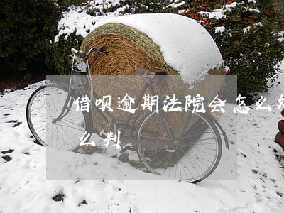 借呗逾期法院会怎么处理 借呗逾期上法庭怎么判